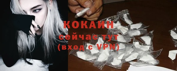 крисы Новокубанск