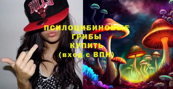 крисы Новокубанск