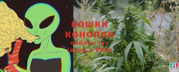крисы Новокубанск