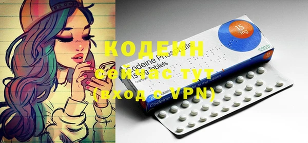 крисы Новокубанск