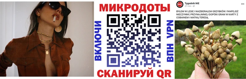 Галлюциногенные грибы мухоморы  Торопец 
